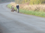 FZ010494 Buzzerd and cyclist.jpg